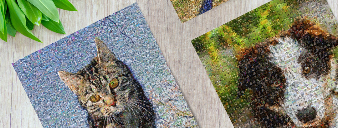Pet Photo Mosaic