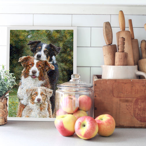 dog photo mosaic frame in kitchen